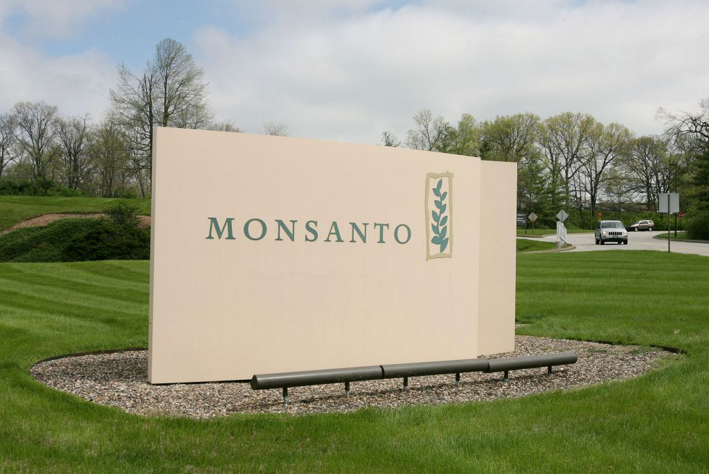 몬산토는 GMO 씨앗 판매 감소로 인해 2,600개의 일자리를 삭감한다.