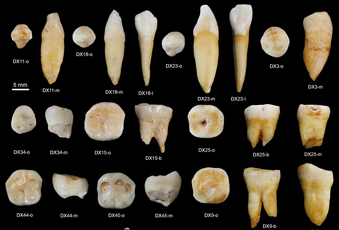 8만 년 전 인류의 이빨이 중국에서 발견되다.