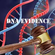 한 연구는 DNA 증거에 대한 의문을 제기한다.