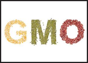 중국은 유전자 변형 종자회사 인수를 시도하면서 반 GMO 사이트를 차단하고 있다.