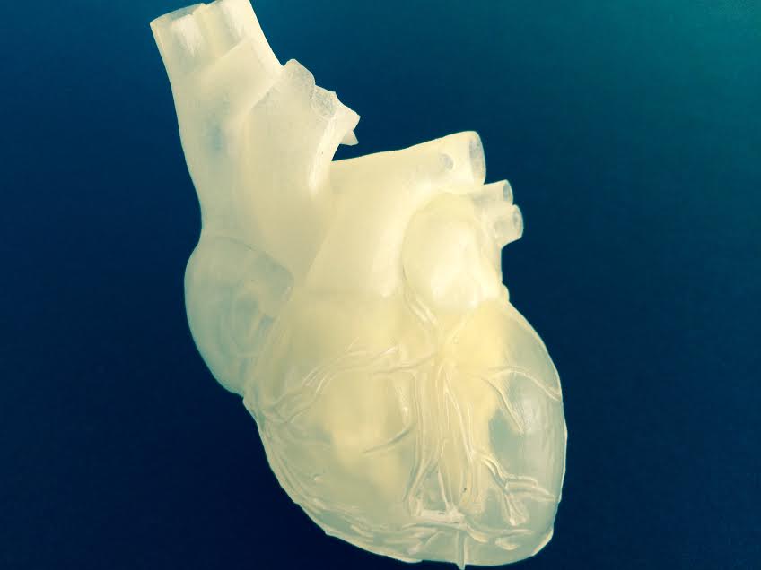 러시아 연구자들은 15년 뒤 3D 프린터를 이용한 인간 장기 이식이 가능하다고 말한다.