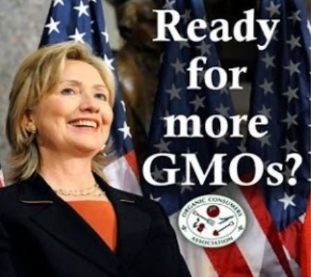 힐러리는 GMO를 지지하고, 몬산토로부터 돈을 받으며, 몬산토 로비스트를 채용한다