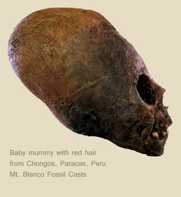 페루에서 발견된 편두 두개골에 대한 DNA 테스트 결과가 공개되다.