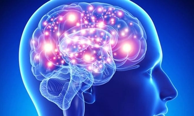 인간의 두뇌가 최대 11차원까지 작용하는 것이 확인되다.