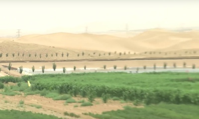 사막을 기름진 토양으로 만드는 데 성공한 중국