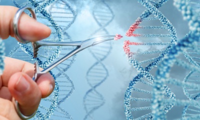 최초로 환자의 유전자를 몸 안에서 변형시키는 치료술이 실시되다.
