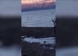 알바니아의 한 호수에서 촬영된 괴물 영상