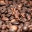 커피가 수명 연장과 관련이 있다는 연구가 발표되다.