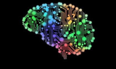 신경과학자들이 두뇌 간의 네트워크를 만드는 데 성공하다