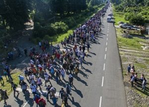 미국 국경을 향하는 중미의 대규모 불법 이민자들
