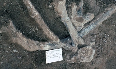 13만 년 전 북미에 인간이 거주했다고 주장하는 논문이 발표되다