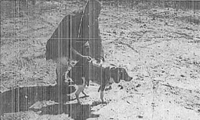 개를 원격 조종하는 마인드 컨트롤 실험을 실시한 CIA