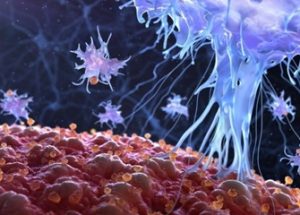 동물 임상실험에 성공한 우두 바이러스를 이용한 암 치료법