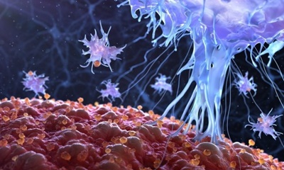 동물 임상실험에 성공한 우두 바이러스를 이용한 암 치료법