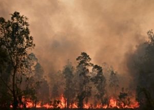 하버드대 연구진, ‘산불의 연기가 코로나19에 취약하게 한다’