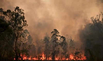 캐나다 앨버타주 산림장관, ‘올해 산불의 원인은 사람’