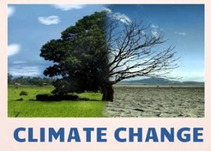 기후 비상사태 주장에 회의적인 연구를 내놓은 이탈리아 연구진