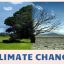 JP 모건, ‘기후 변화는 인류의 종말을 가져 올 수 있다’