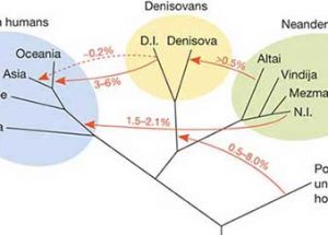 5만 년 전에 존재했다가 사라진 인류의 조상이 서부 아프리카인의 DNA에서 확인되다
