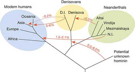 5만 년 전에 존재했다가 사라진 인류의 조상이 서부 아프리카인의 DNA에서 확인되다