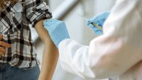 세계 최초로 조류독감 백신 접종에 들어가는 핀란드