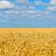 코로나와 우크라이나 전쟁으로 572조 4,561억 원을 번 식량, 에너지 억만장자들