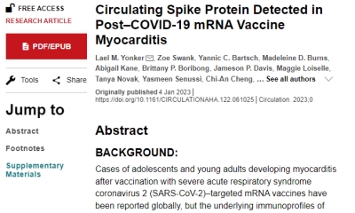 스파이크 단백질과 심근염과의 상관관계에 주목하는 하버드 의대 연구