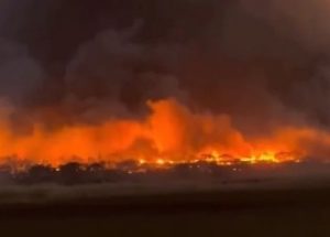 미 하와이 주민들, ‘정부가 화재 사망자 수를 축소하고 있다’