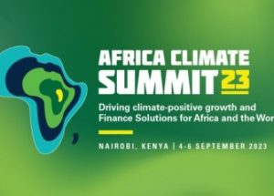 서방에 의한, 서방을 위한 아프리카 기후정상회의