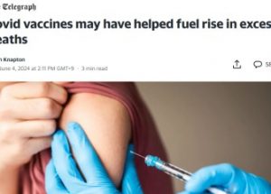 네덜란드 연구진, ‘전 세계 초과 사망의 원인은 코로나 백신일 수 있다’